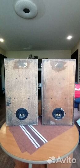 Акустика Вега 50ас-106