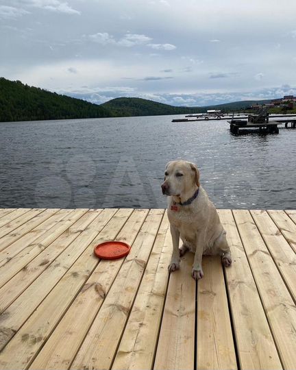 Дом 45 м² на участке 15 сот.