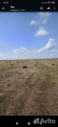 Сено в тюках