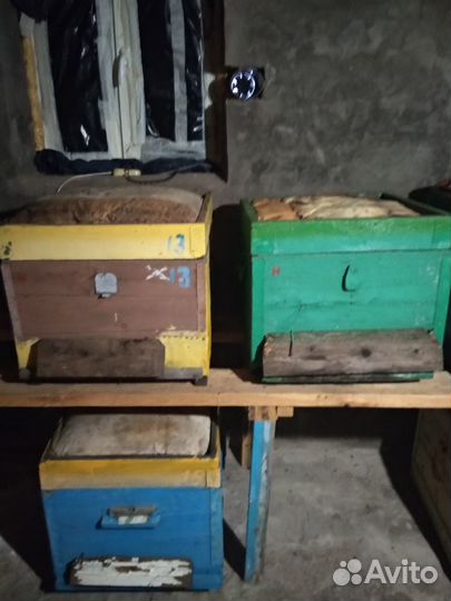 Ульи для пчел