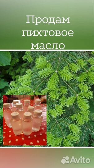 Продам масло пихтовое