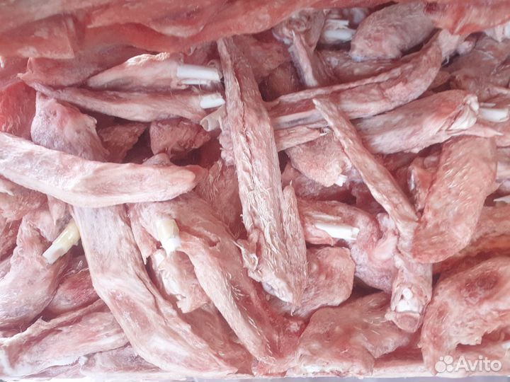 Корм для собак