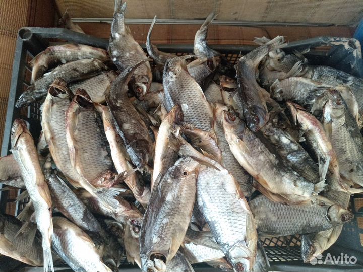 Рыба вяленая плотва