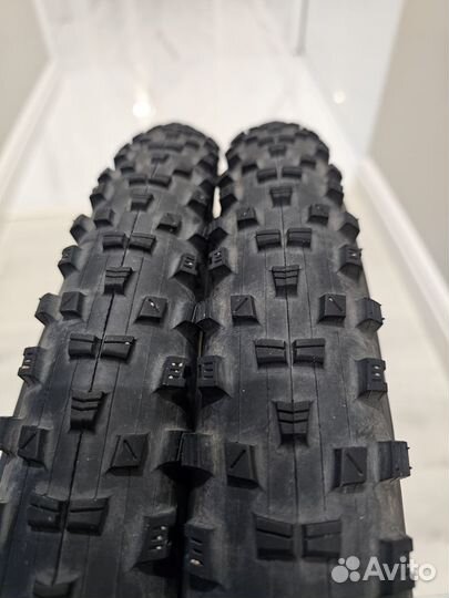 Покрышки для велосипеда 29 maxxis forecaster