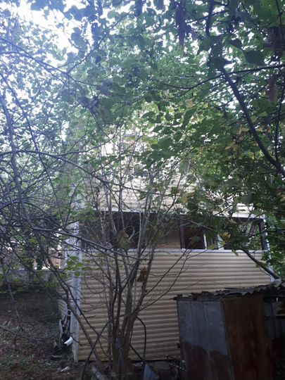 Участок 6 сот. (СНТ, ДНП)