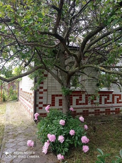 Дом 51,2 м² на участке 20,6 сот.