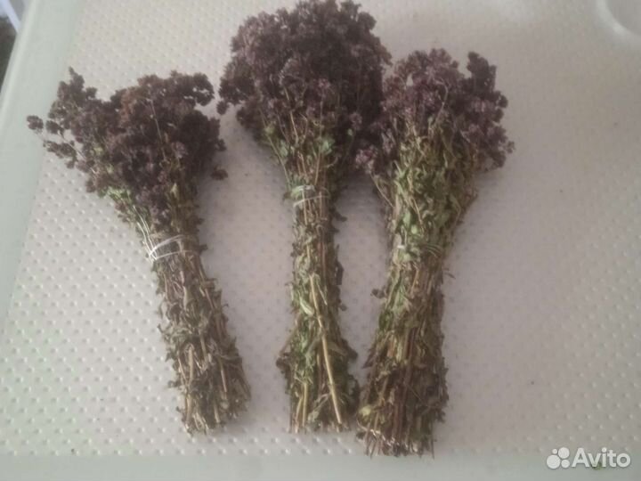 Трава душица