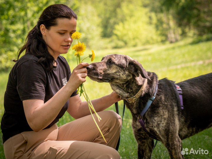 Рик из приюта