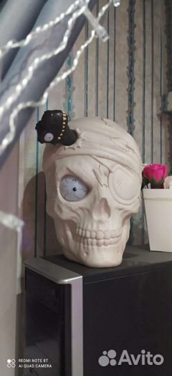 Гигантский череп zuru