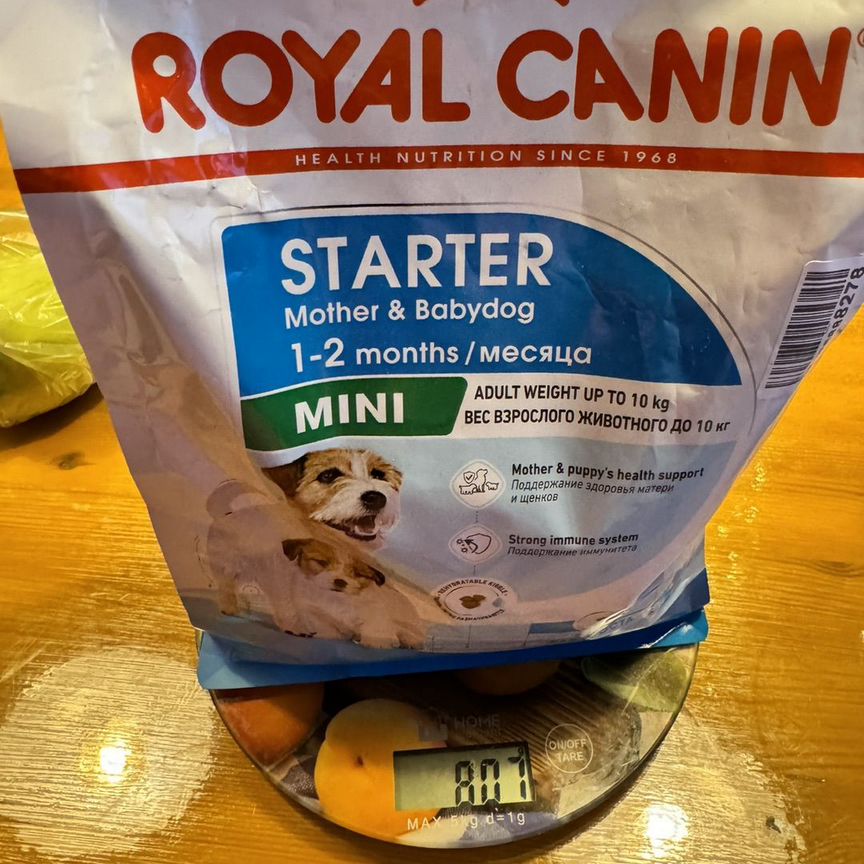 Royal canin mini