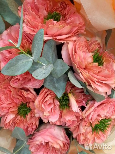 Оптовые поставки цветов от производителей