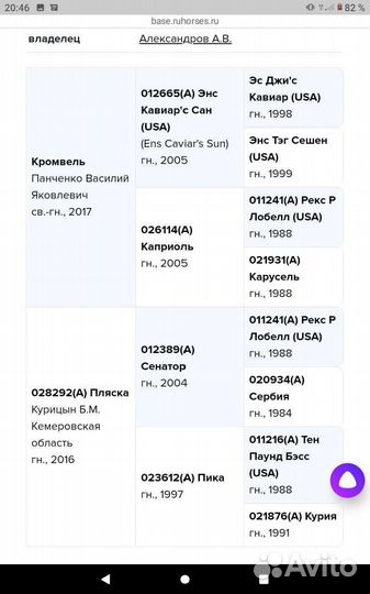 Рысаки продажа