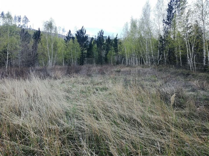 Участок 6 сот. (СНТ, ДНП)