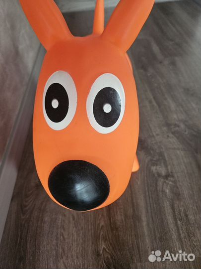 Прыгун щенок