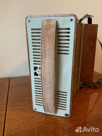 Аккордеон Дружок детский