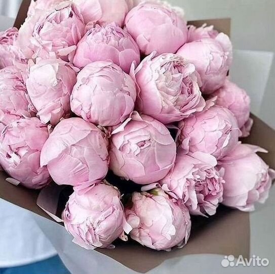 Пионы Букет пионов Доставка цветов