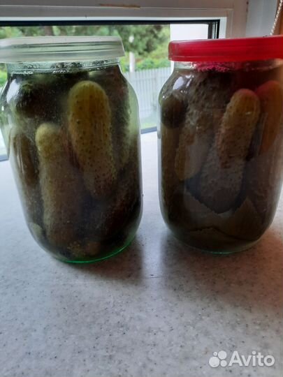 Соленые огурцы