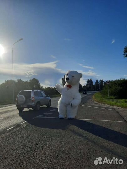 Белый мишка поздравление