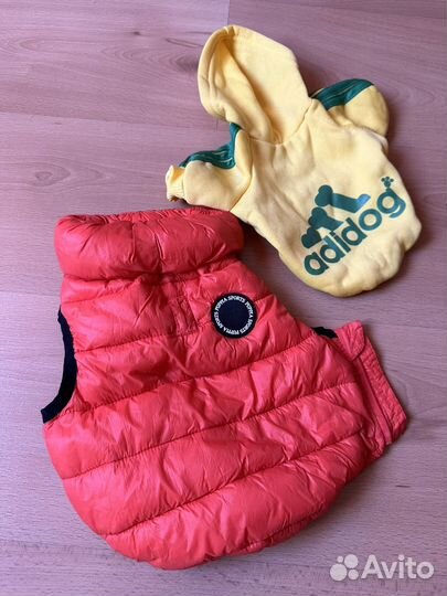 Одежда для собак