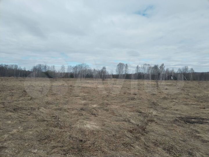 Участок 3,11 га (СНТ, ДНП)