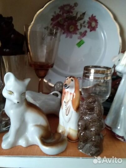 Кошки, собачки и др