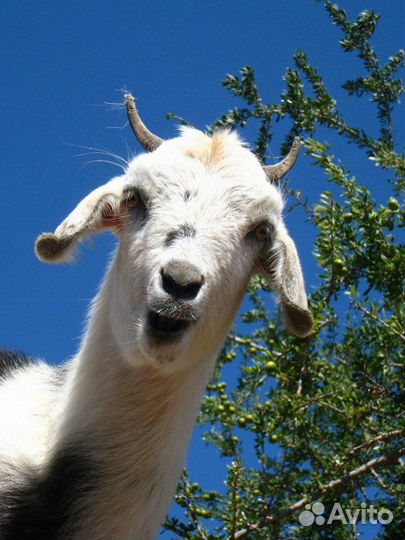 Путешествие в село Татищево - 