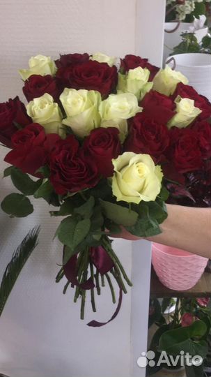 Розы кения 25 шт