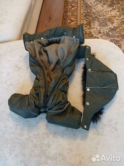 Одежда для собак мелких пород