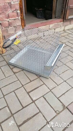 Клетка для перепелов