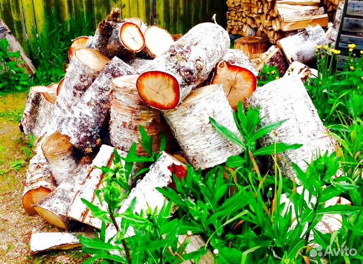 Дрова из Буратино