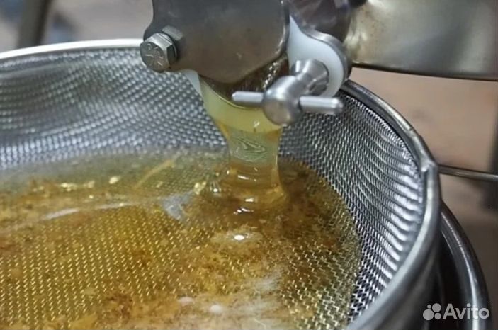 Мед натуральный из Алтая опт min 16kg