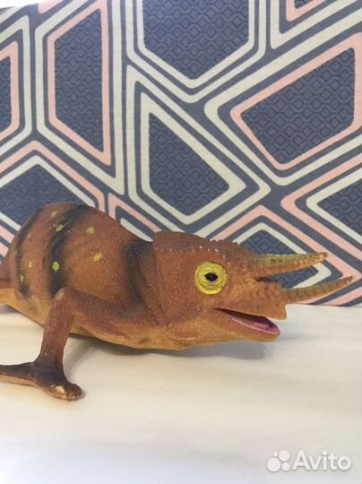 Геккон, ящер