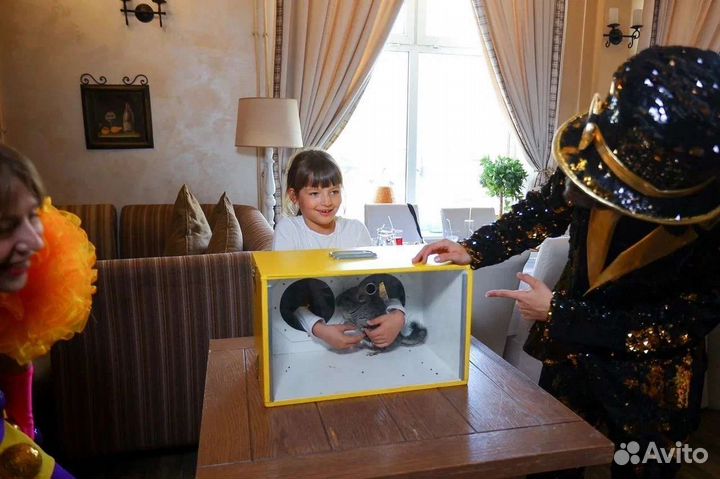 Аниматор тик ток поп-ит