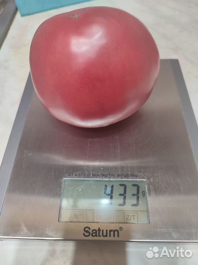 Семена коллекционных томатов