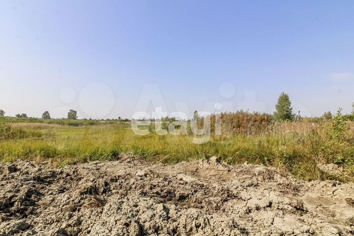 Участок 8 сот. (СНТ, ДНП)