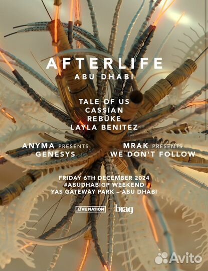 Билет afterlife ABU dhabi 2024