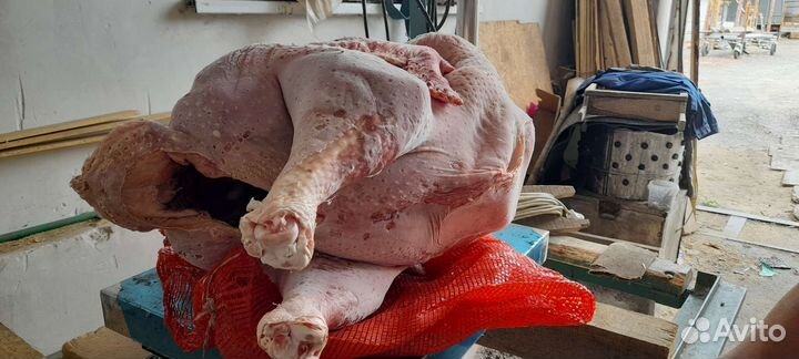Продам мясо индейки домашней