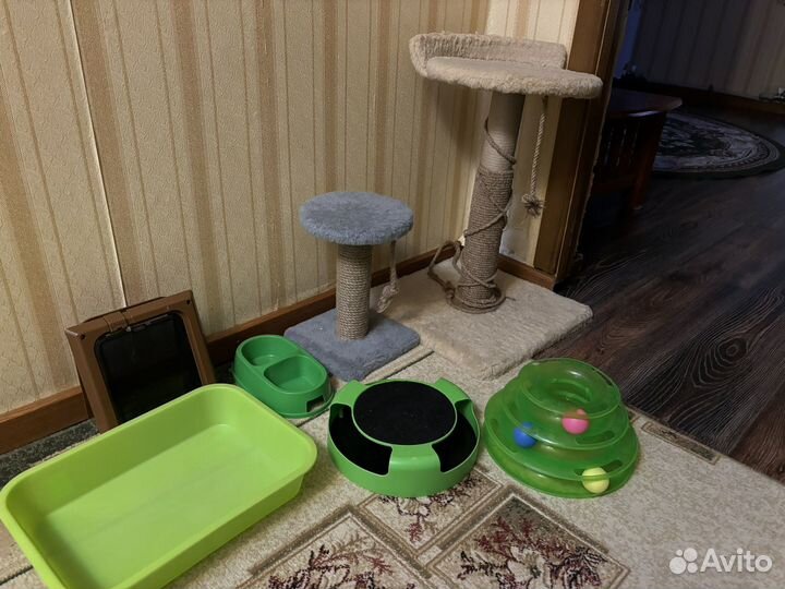 Когтеточка,игрушки,лоток,миска для кошек