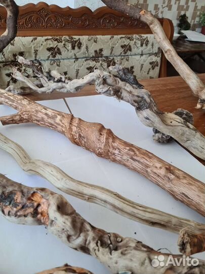 Морские коряги дрифтвуд