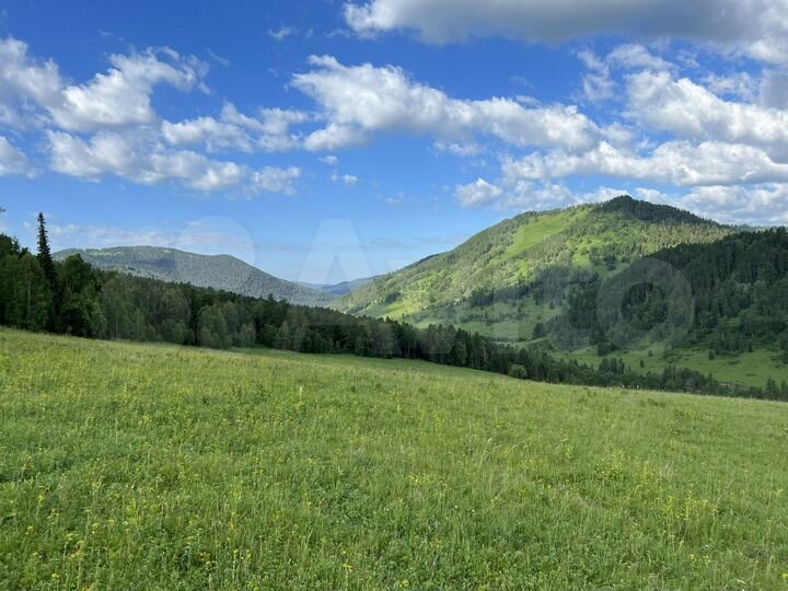 Участок 6,8 га (СНТ, ДНП)