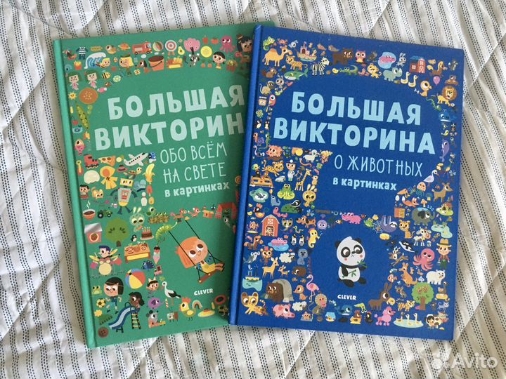 Большая викторина. Развивающие книги
