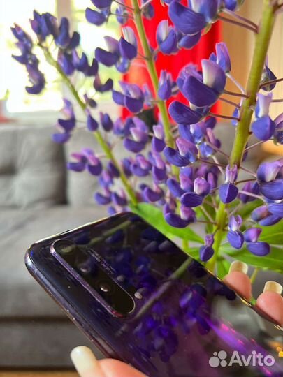 Honor 20 pro