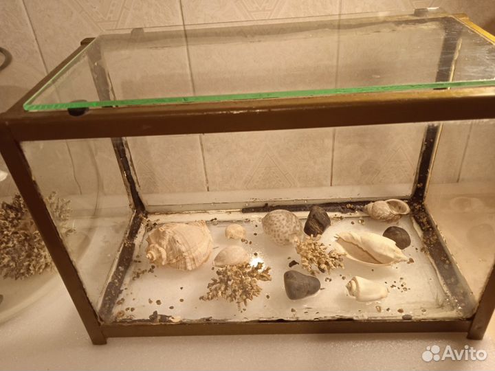 Аквариумы круглый и прямоугольный