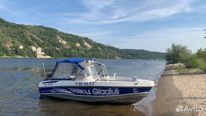 Гладиус 520 с мотором сузуки 115