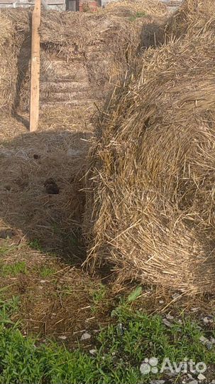 Солома в тюках, сено360 кг, 1.8диаметр, 1.3 ширина