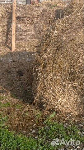 Солома в тюках, сено360 кг, 1.8диаметр, 1.3 ширина