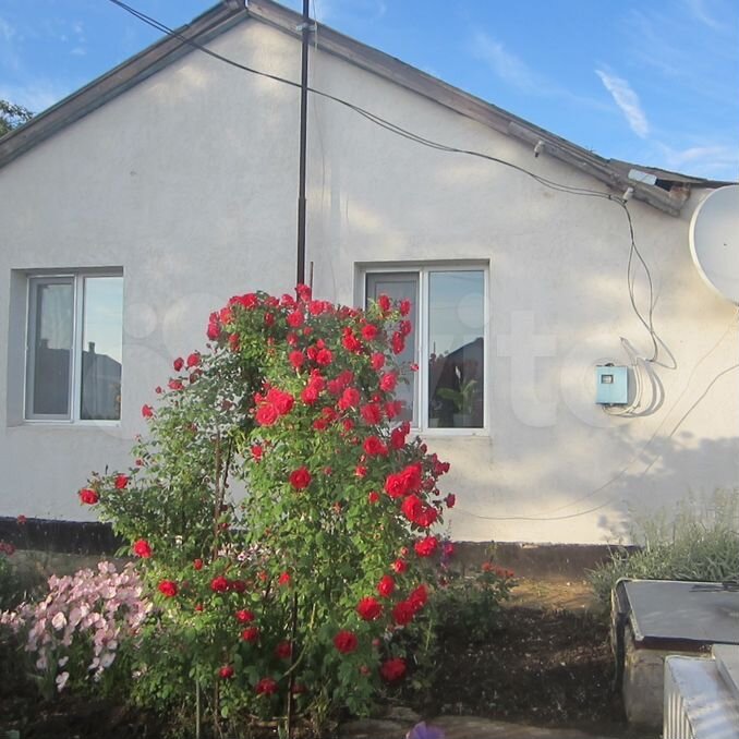 авито щелкино. дома в луговом крым ленинский район. щелкино энергетик 2. авито щелкино. новониколаевка крым ленинский район.