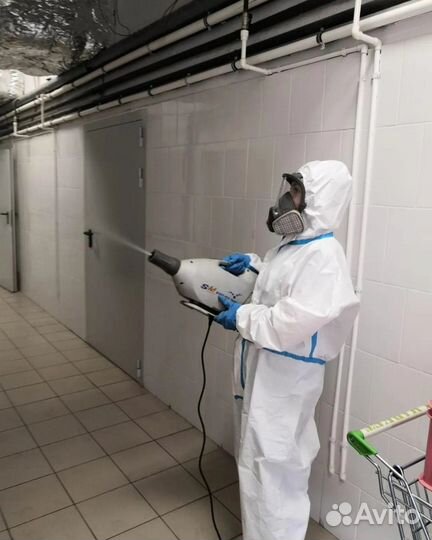 Дезинфекция клопов тараканов плесени запахов крыс