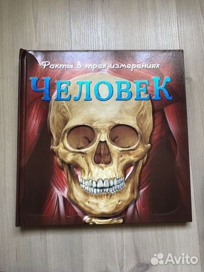 Книга Человек. Факты в трёх измерениях