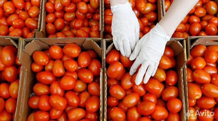 Подработка с ежедневной оплатой,разнорабочие